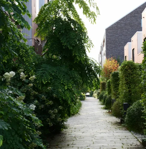 Quiet urban walkway surrounded by trees and greenery